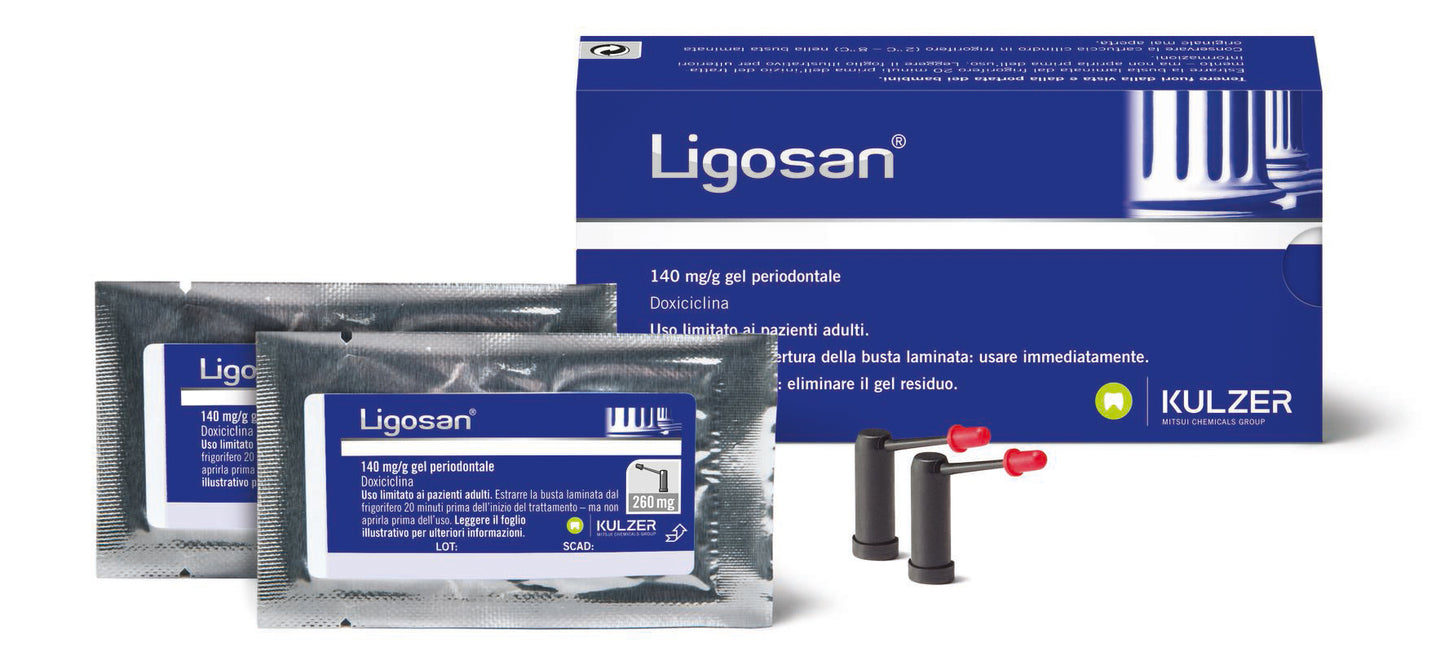 LIGOSAN - KARTUSCHEN 2x260mg