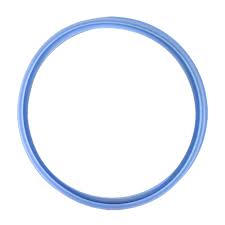 Guarnizione portello  camera autoclave Euronda